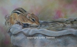 Drinks on the Patio copyright 350