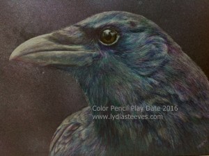 I Love Crows close up contrast website