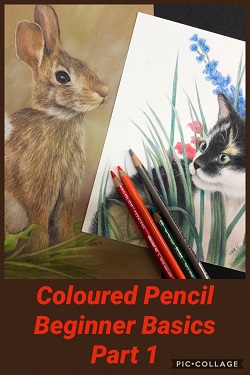 Beginner Basics for Colour Pencil Part 1, BeginnerBasicsCP at Lydia Steeves