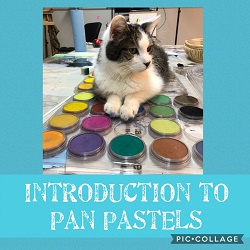 Pastel Introduction Introduction to Pan Pastels, IntroPanPastels at Lydia Steeves
